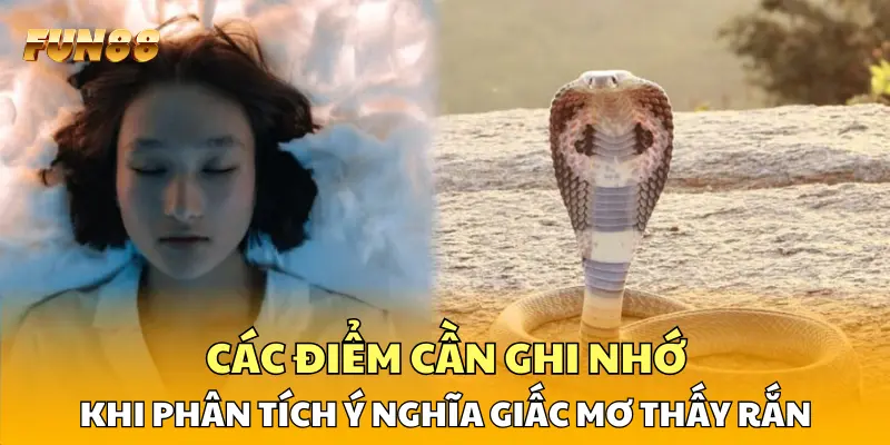 Các điểm cần ghi nhớ khi phân tích ý nghĩa giấc mơ thấy rắn