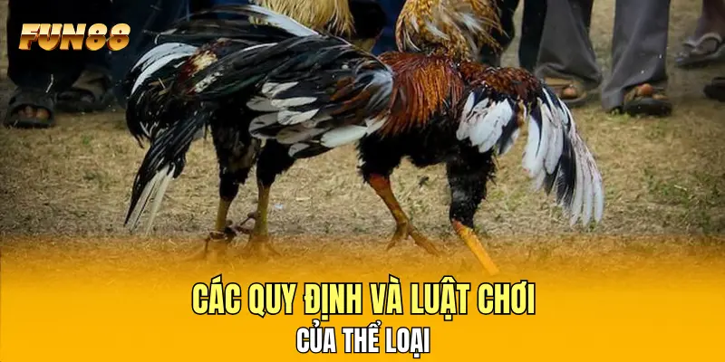 Các quy định và luật chơi của thể loại