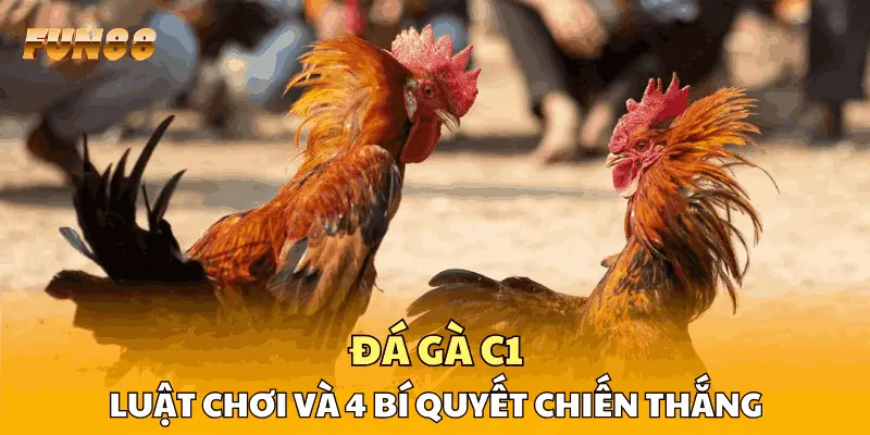Đá Gà C1 - Luật Chơi Và 4 Bí Quyết Chiến Thắng Đỉnh Cao