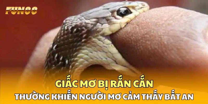 Giấc mơ bị rắn cắn thường khiến người trải nghiệm cảm thấy bất an