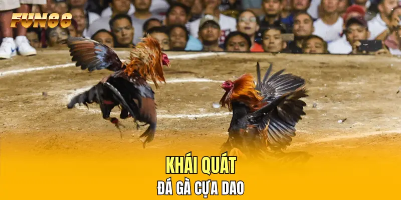 Khái quát đá gà cựa dao