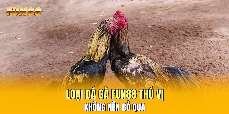 Loại đá gà FUN88 thú vị không nên bỏ qua