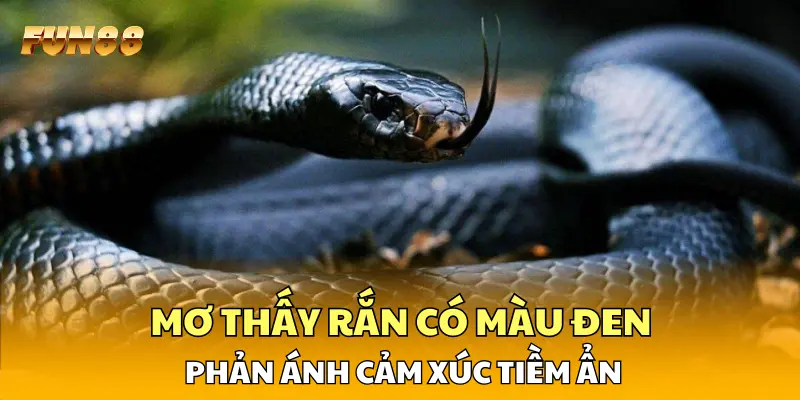 Mơ thấy rắn có màu đen phản ánh cảm xúc tiềm ẩn