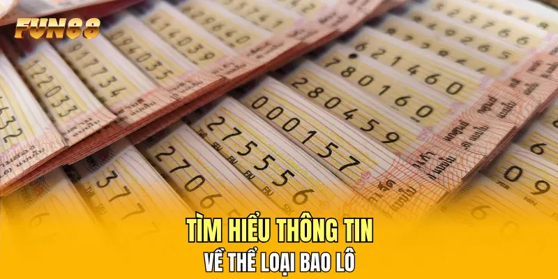 Tìm hiểu thông tin về thể loại bao lô